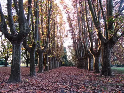 Terreno en Venta de 1200,0 m2