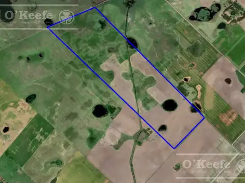 Fraccion mixta de 90 has en Saladillo