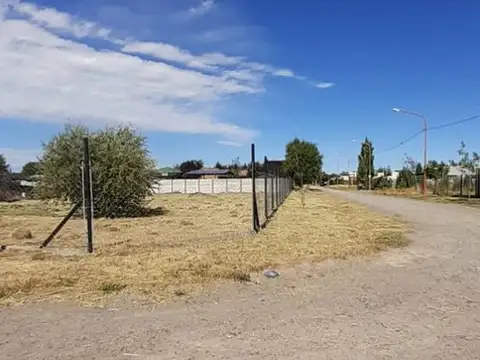 Nilda Romano y Remo Santarelli