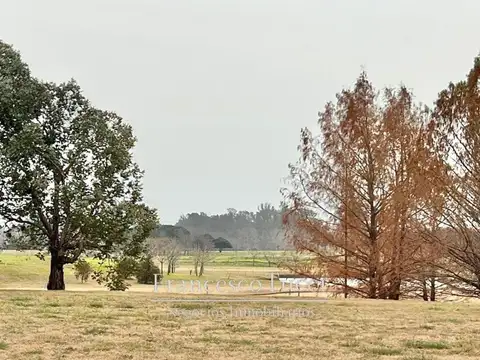 Av. Fernández Beschtedt Lote / N° 4200