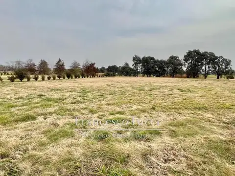 Av. Fernández Beschtedt Lote / N° 4200