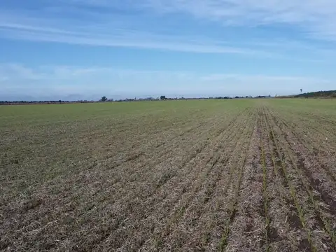 Venta/campo agricola/suelo 1/rafaela