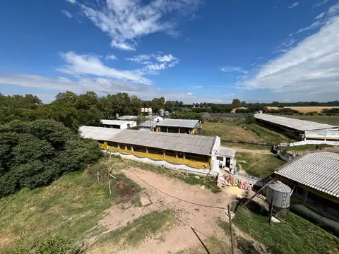 GRANJA DE PORCINA MARCOS PAZ PROV. BS. AS.