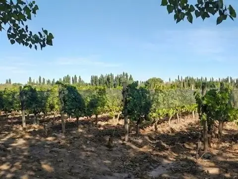 Terreno en Venta en San Rafael, USD 54.000