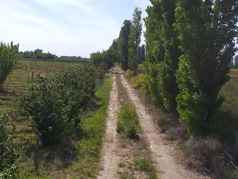 OPORTUNIDAD  VENTA FINCA JAIME PRATS SAN RAFAEL