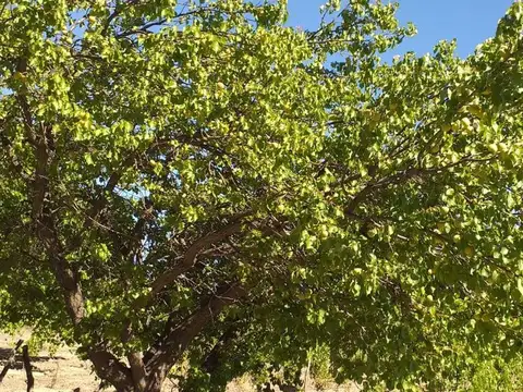 Terreno en Venta de 70000,0 m2
