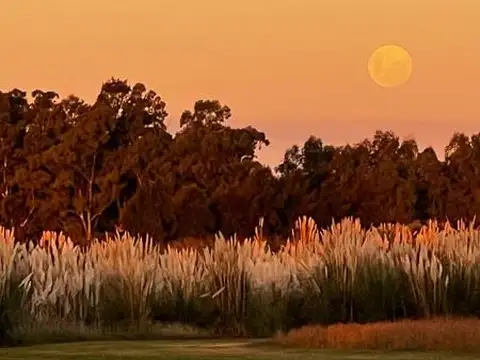 Lote . | Chacras La Primavera Golf - Luján