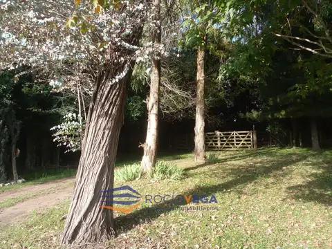 Campo a la venta en San Andres de Giles   