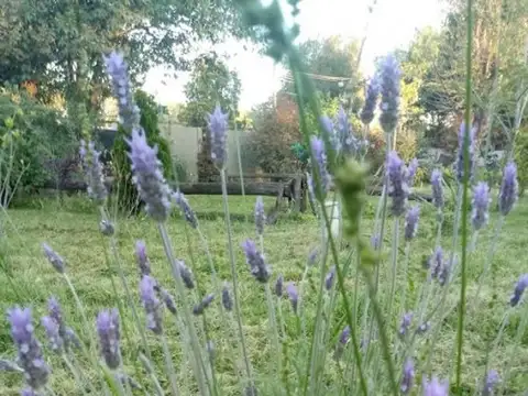 CASA-QUINTA EN VENTA  4 AMBIENTES en GLEW