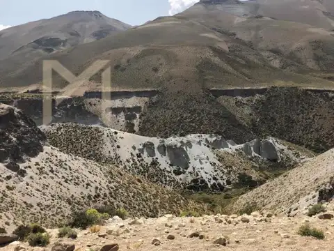 Ruta , Malargüe, Mendoza 500