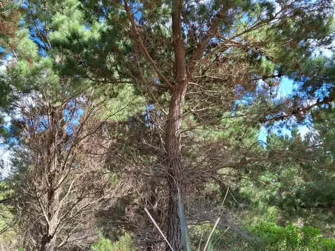 Terreno en Venta de 600,0 m2