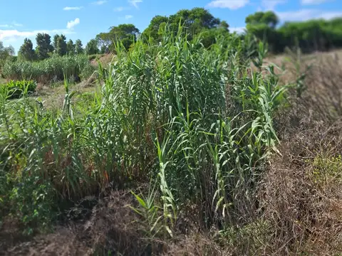 Terreno en Venta en Villa Gesell, USD 36.900