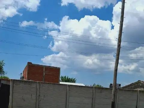 El Mirlo