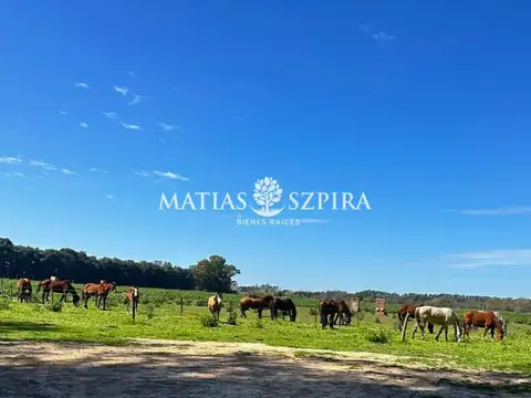 Terreno en Venta en Haras San Pablo, USD 80.000