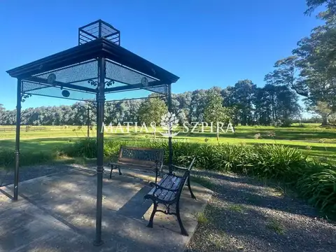 Ruta Provincial N°6 km.149.5