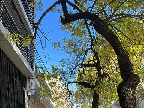 Terreno en Venta de 305,0 m2