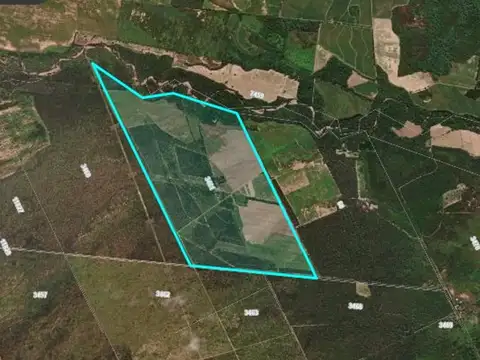 Campo en Venta en General Guemes, General Güemes