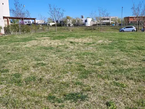 Av De Los Lagos