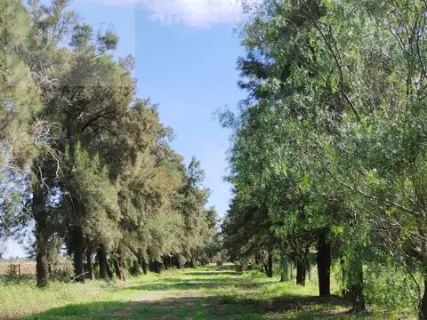 Quinta en Venta 40 años