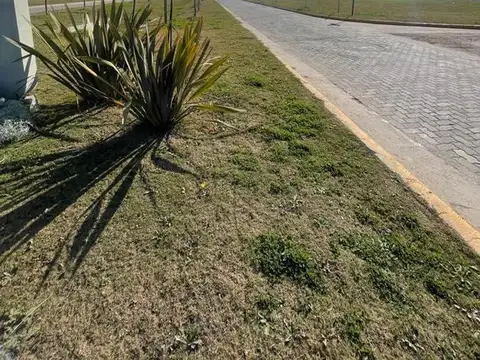 Terreno en Venta 29  mts Fondo