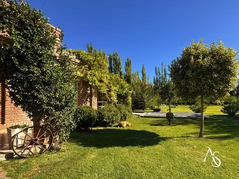 contra almirante cordero