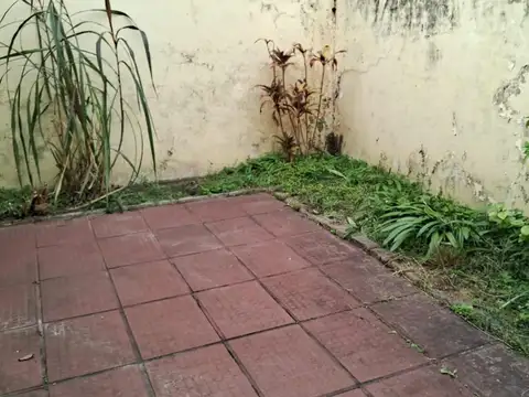 Parana 91