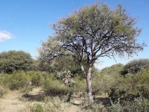 Capilla del Monte 5100