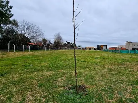 Terreno en Venta de 600,0 m2