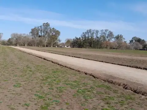 Terreno en Venta de 380,0 m2