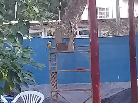 Colón e/ 23 de septiembre y Avenida del Trabajo