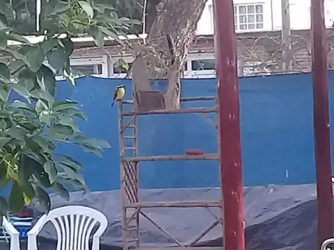 Colón e/ 23 de septiembre y Avenida del Trabajo