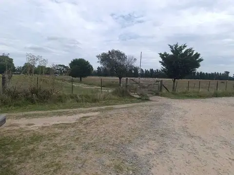 3,5 has 100