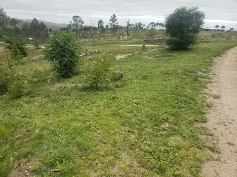 RUTA S271 100