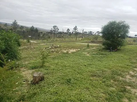 RUTA S271 100