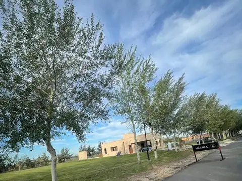 Terreno en Venta de 931,0 m2