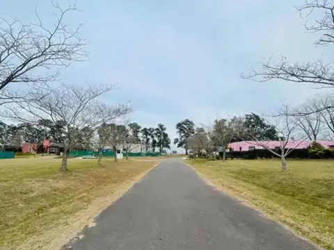 Vjo.venta Lote En Barrio Los Palenques, Manzanares