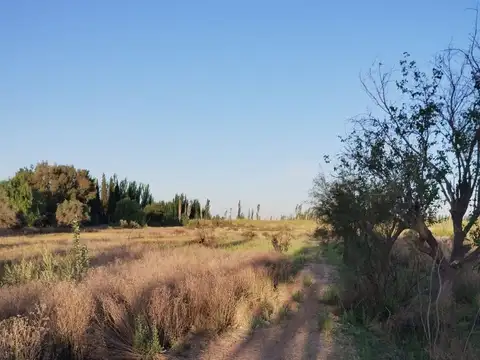 Lote en Venta en Guaymallen 2 hectáreas