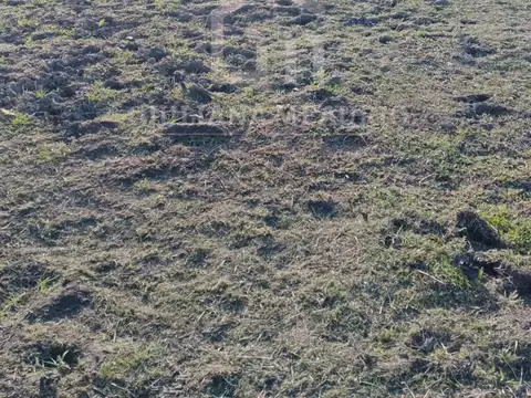 Terreno en venta