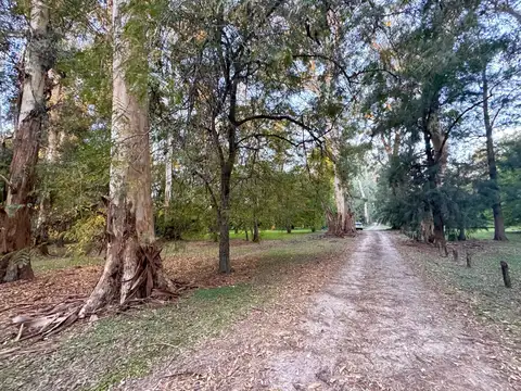Campos de Roca , Barrio 1  Lote N°64