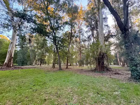 Terreno en Venta 100  mts Fondo