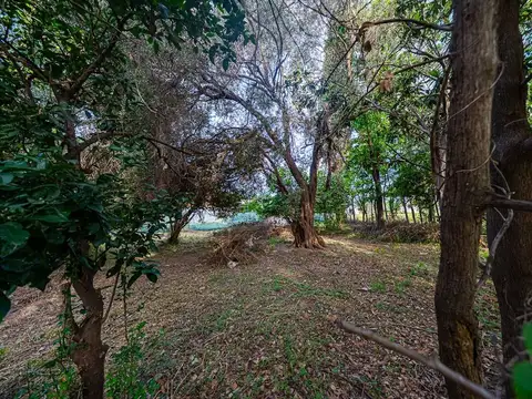 Sánchez de Loria 1100