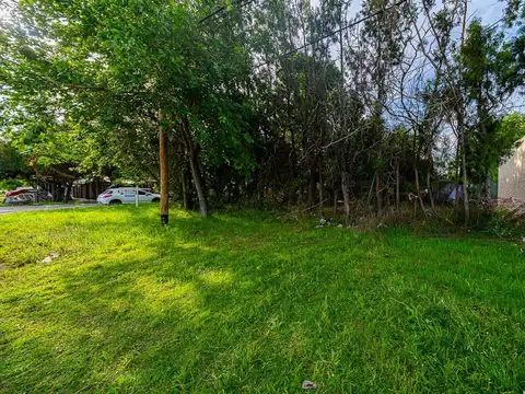 Sánchez de Loria 1100