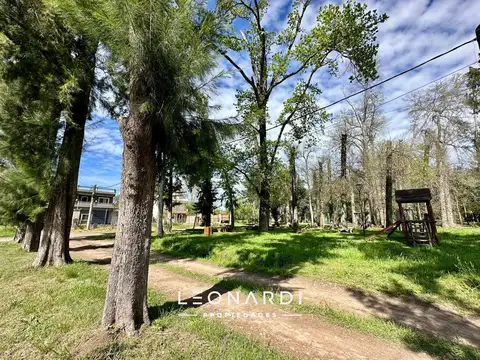 Las Viñas S/N, Loma Verde