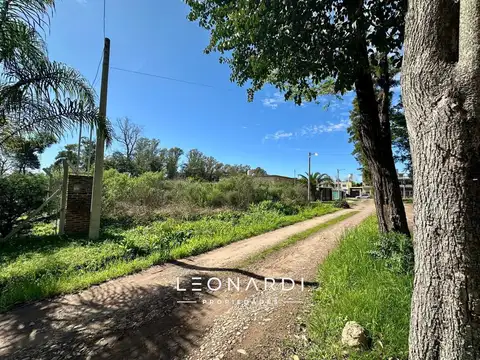 Las Viñas S/N, Loma Verde