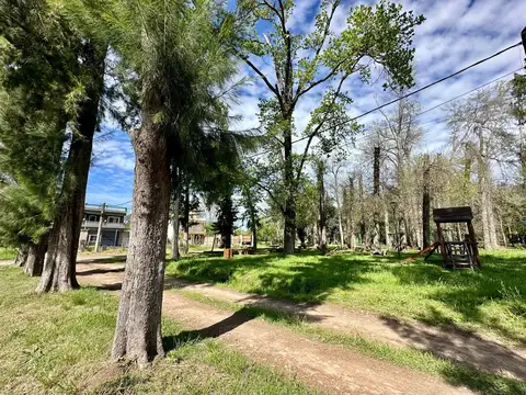 Las Viñas S/N, Loma Verde