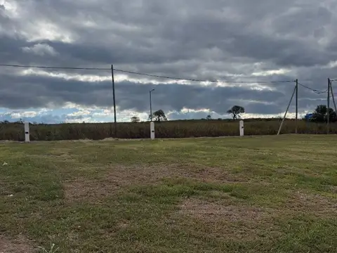Terreno en Venta de 262,0 m2