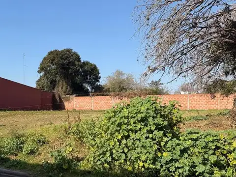 AZCUENAGA