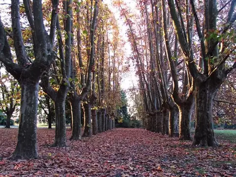 Terreno en Venta en Fighiera, USD 48.000