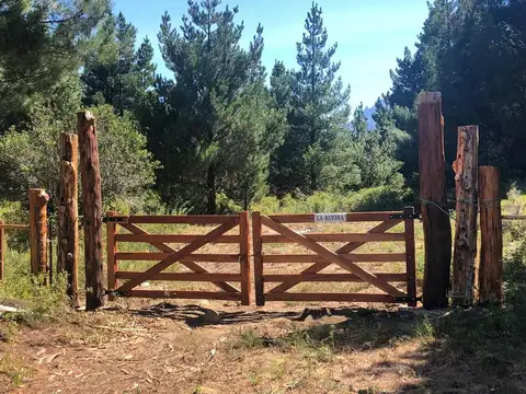 Terreno de 9.894 m² en Epuyén con acceso directo