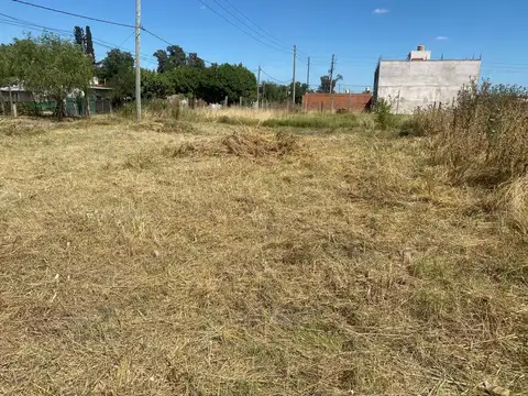 Carcavallo y Larreta